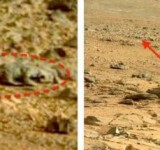 на Марсе обнаружена жизнь, хотя бы одна инопланетная ящерица есть на Марсе, так считает японский биолог