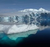 Как полагают ученые через 50 лет в Арктике будут зеленые лужайки